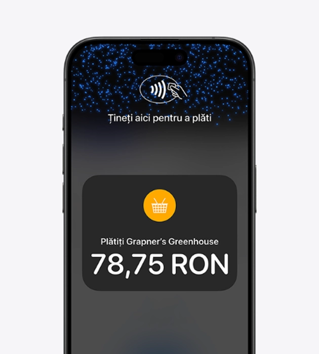 Fără dispozitive suplimentare