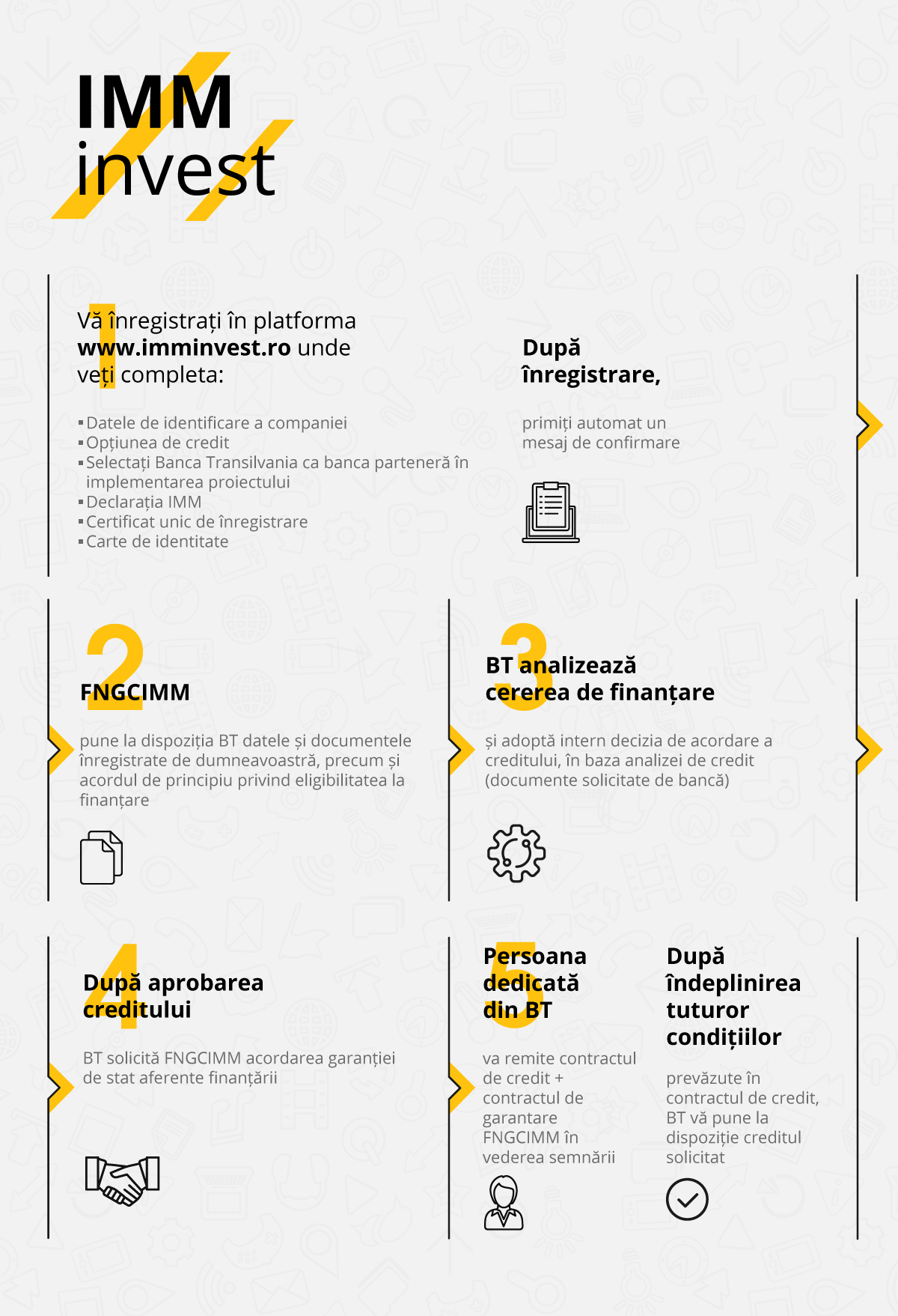 Infografic IMM Invest