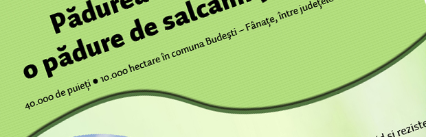 Infografic: Plantarea Padurii Transilvania, pentru a marca