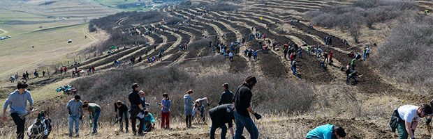 Peste 1.500 de voluntari din 20 de localitati au participat la Plantarea Padurii Transilvania