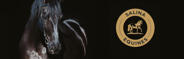 #SportBT: Competitia Internationala Salina Equines Horse Trophy