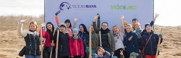 Voluntariat pentru plantarea Padurii Victoriabank