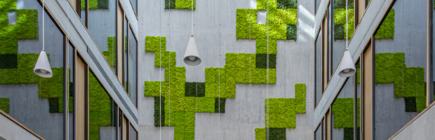 Banca Transilvania’s head office obtained the highest level of certification, BREEAM Outstanding
