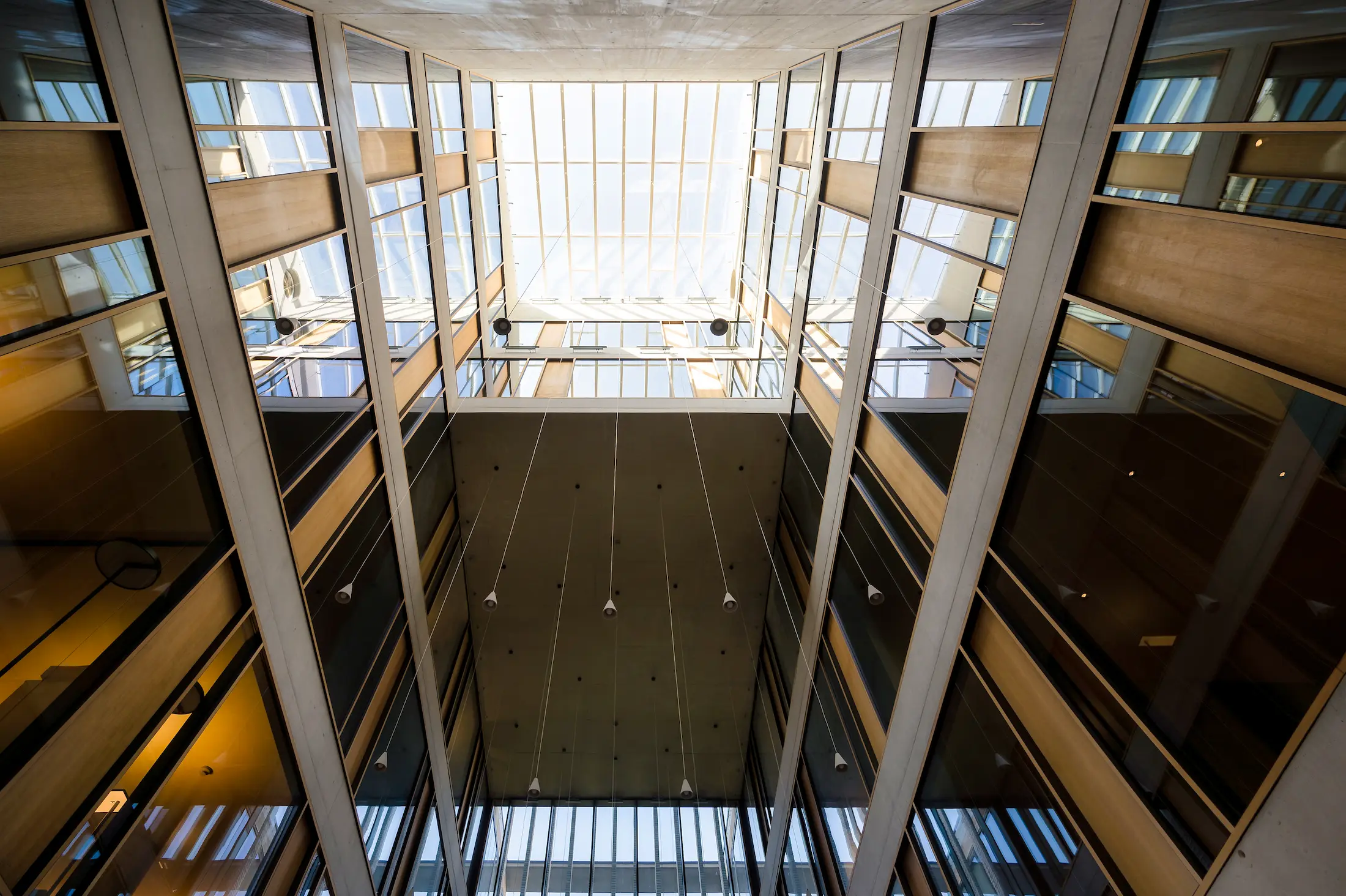 Grupul BT News: Februarie 2026