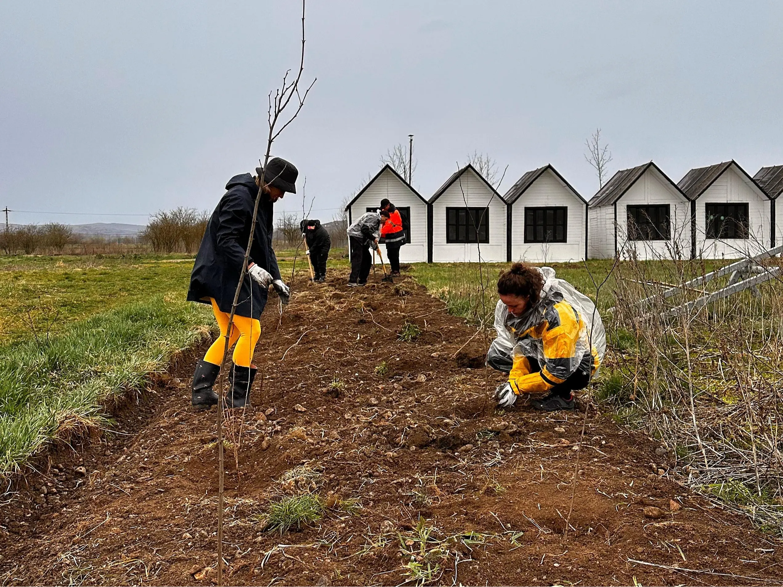 Voluntarii, BT și Electric Castle au continuat în martie împădurirea EC Village