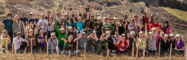 Banca Transilvania si Tasuleasa Social, o noua actiune de voluntariat: plantarea Padurii Transilvania