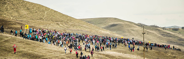 Doua noi actiuni de voluntariat green, cu participarea echipei BT