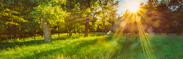 Programul BT de Rusalii. Care unitati vor fi deschise