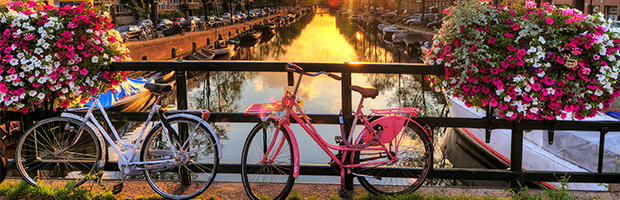 Cardurile BT Flying Blue. Cum transformi cumparaturile in bilete de avion