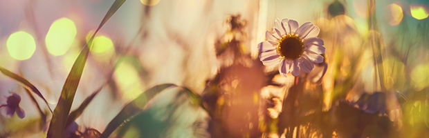 Programul BT de Sfanta Maria. Ce unitati vor fi deschise luni, 15 august