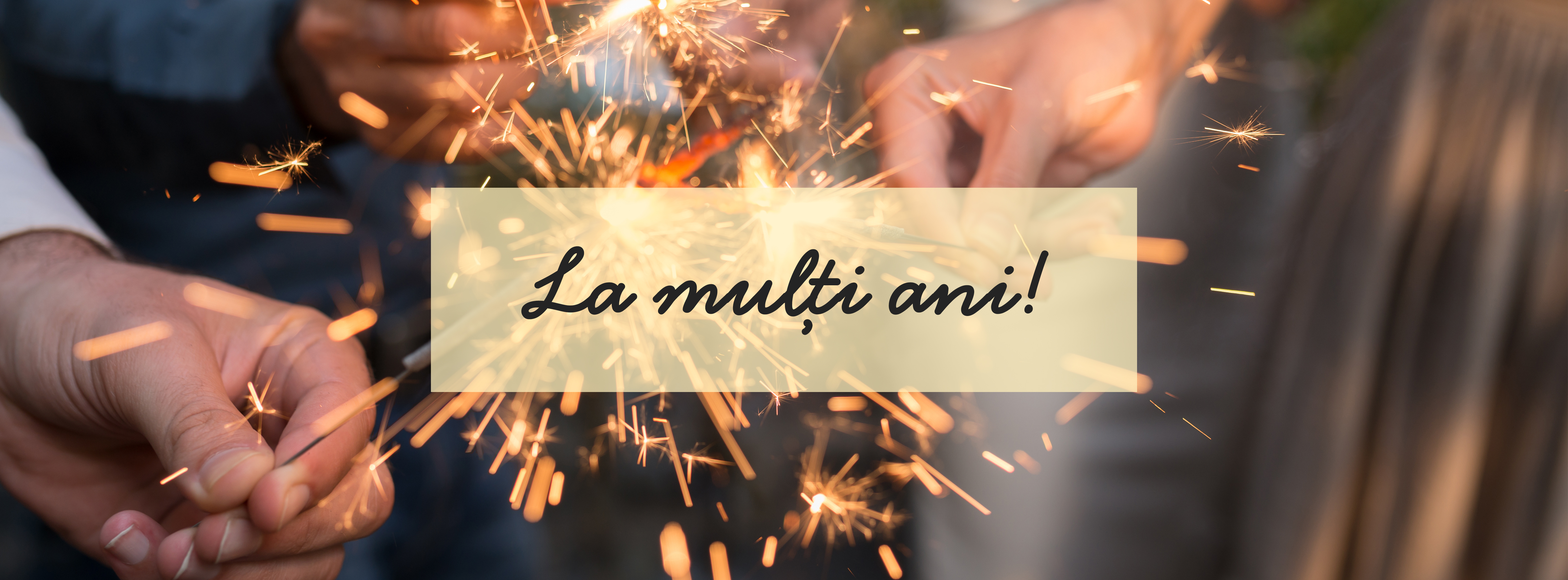 Programul BT de Anul Nou