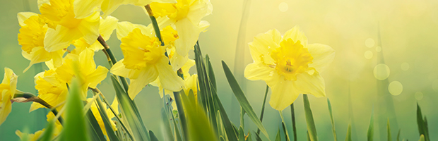 Programul unitatilor BT de Pasti