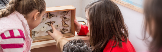 Proiect educational sustinut de BT si realizat de Asociatia Profesor Gheorghe Balaci 