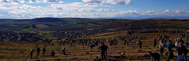 Peste 1.500 de voluntari, la plantarea Padurii Transilvania 