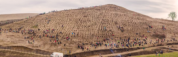 800 de voluntari, 22.000 de puieti, 5 hectare, o noua padure la Tritenii de Sus, Cluj