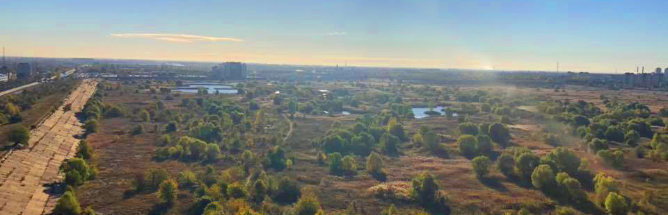 Banca Transilvania si Asociatia Parcul Natural Vacaresti lanseaza programul de voluntariat “Fii Ranger Urban!”