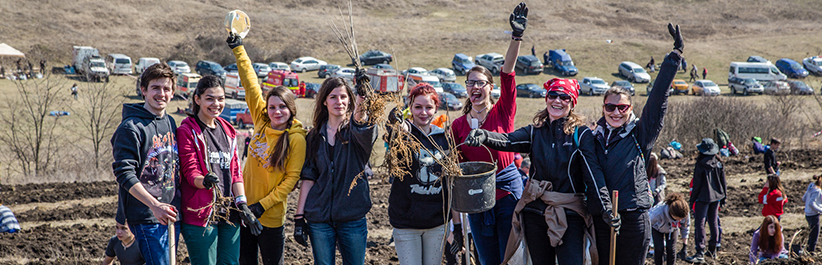 Voluntariat verde: Plantarea Padurii Transilvania, in 23 martie, in Bistrita-Nasaud